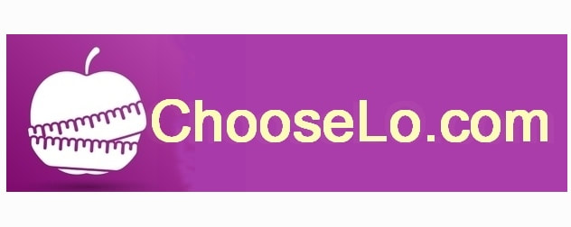 ChooseLo.com  Professional quality Domain and Logo for sale $6,400.