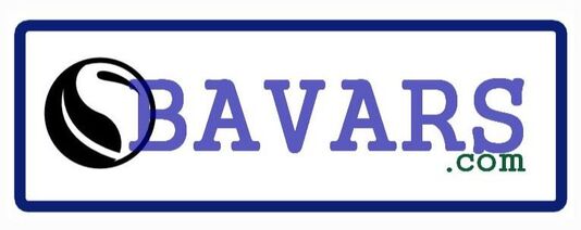 Bavars.com is a short Brandable domain name and logo for sale.